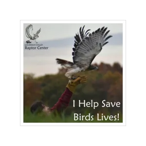 Raptor Rescue Square Sticker — "I Help Save Birds Lives!"